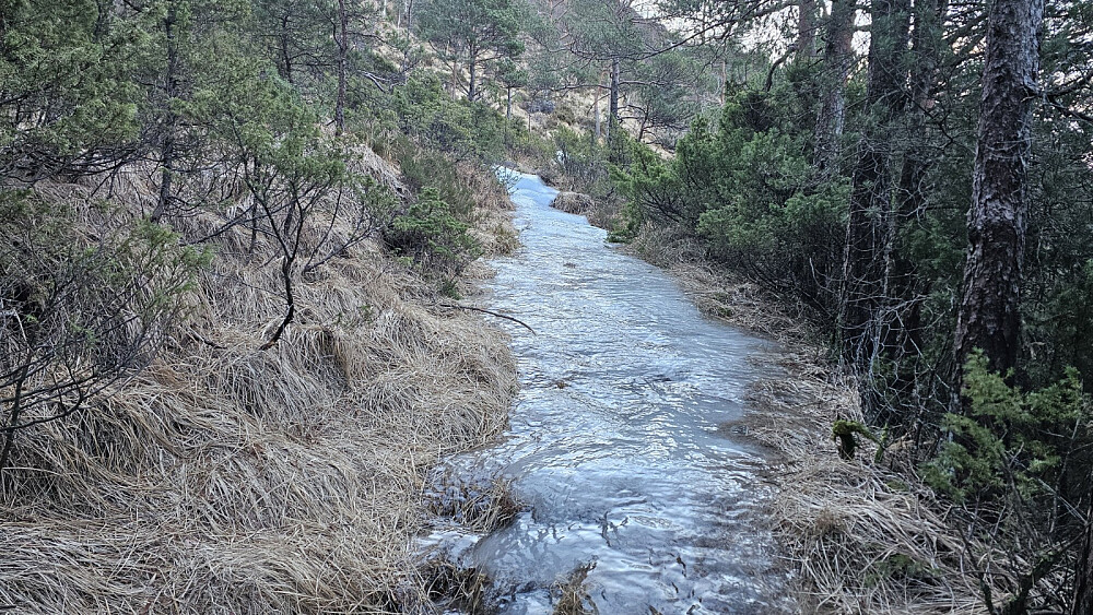 Her snudde jeg i går kveld