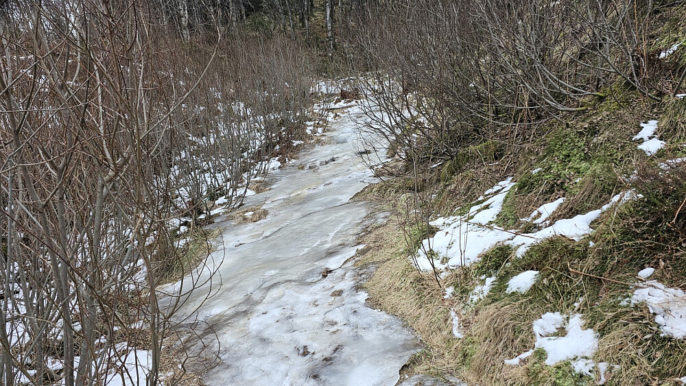 Ganske isete her også, men vi kom frem. Puddern spant litt her og der, men karret seg opp