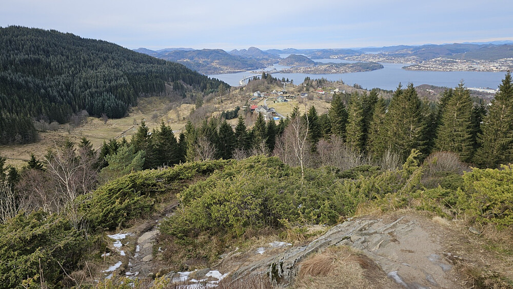 Tilbakeblikk litt oppe i lia