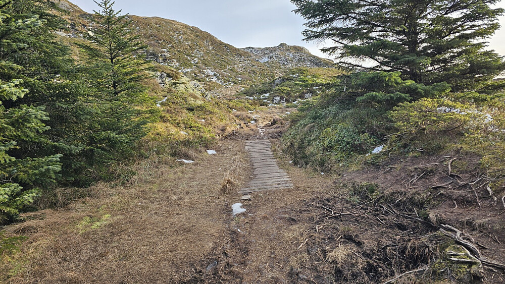 Det var lagt ned mye arbeid i stien her, da det sikkert er veldig vått her om sommeren