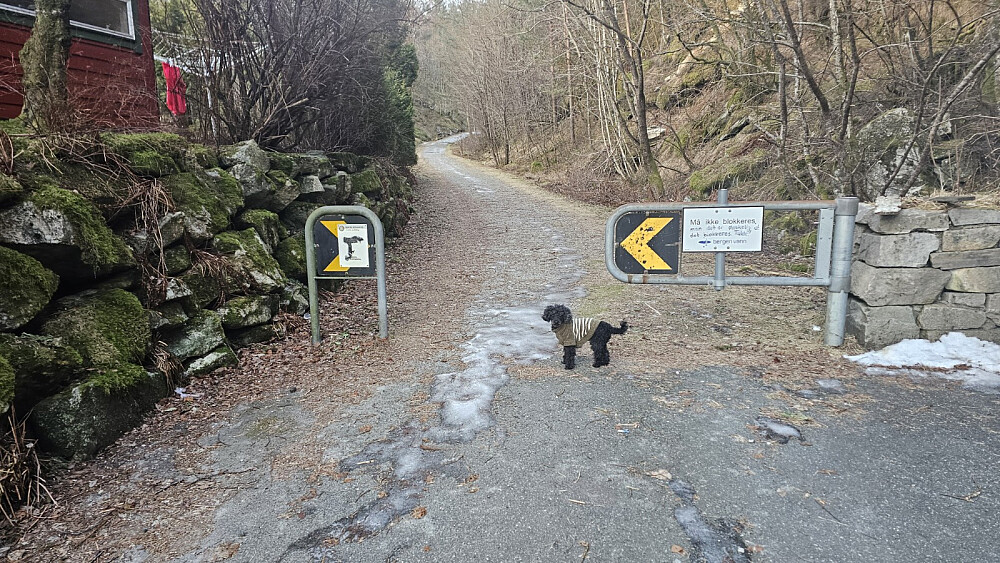 Lett å gå på vei i starten