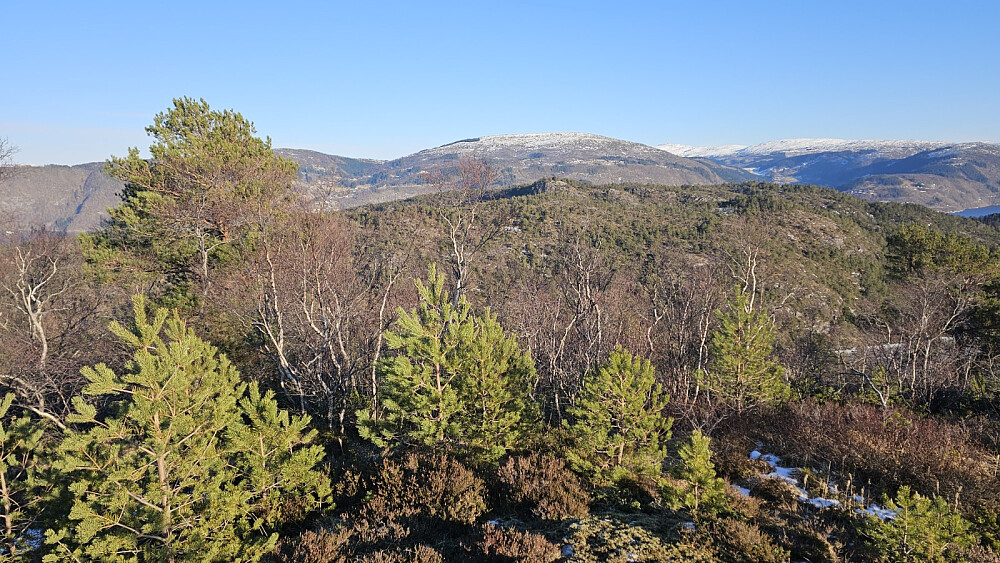 Utsikt over mot Sjurstonipa som var dagens forrige tur