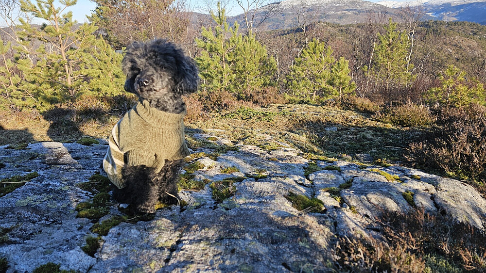 Sola varmet og det ble en god matpause på toppen