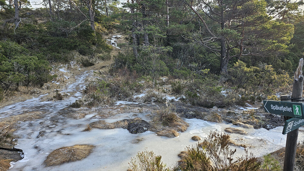 Her var det skiltet og det var tydelig sti å følge