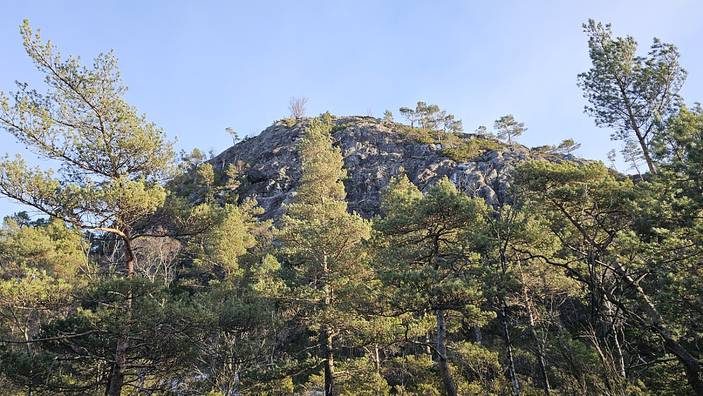 Bratt opp mot Sjurstonipa. Stien gikk bratt opp på andre siden