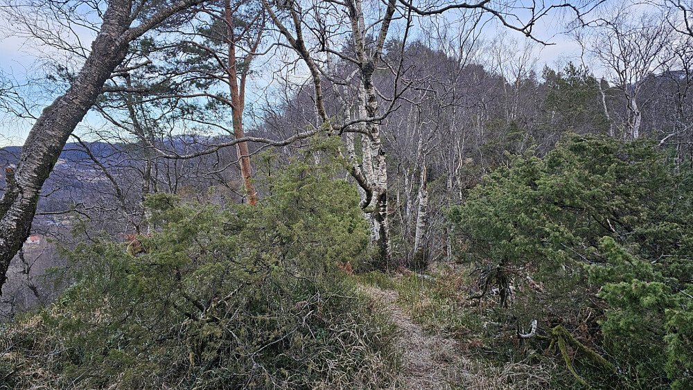 Oppe på ryggen var det variert og fint å gå. Her fikk vi nesten fri sikt bort på turens første topp
