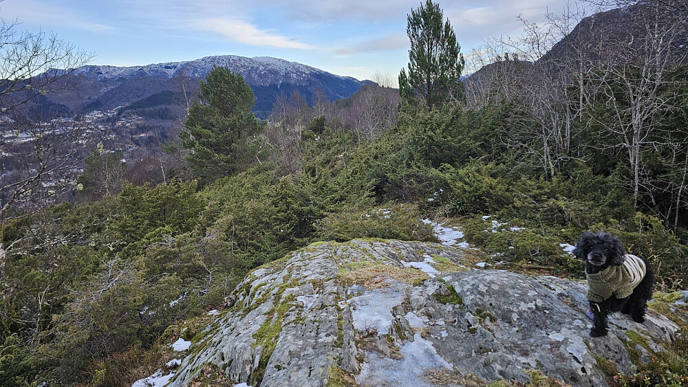 På toppen av Hånuken