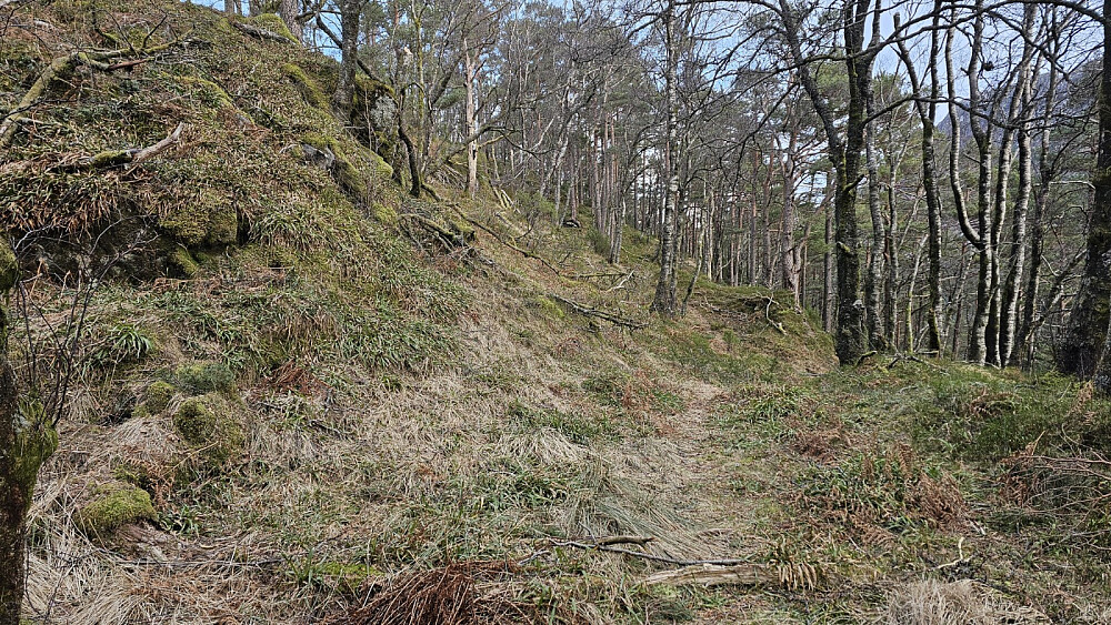 Ingen is i solsiden, og lett å gå