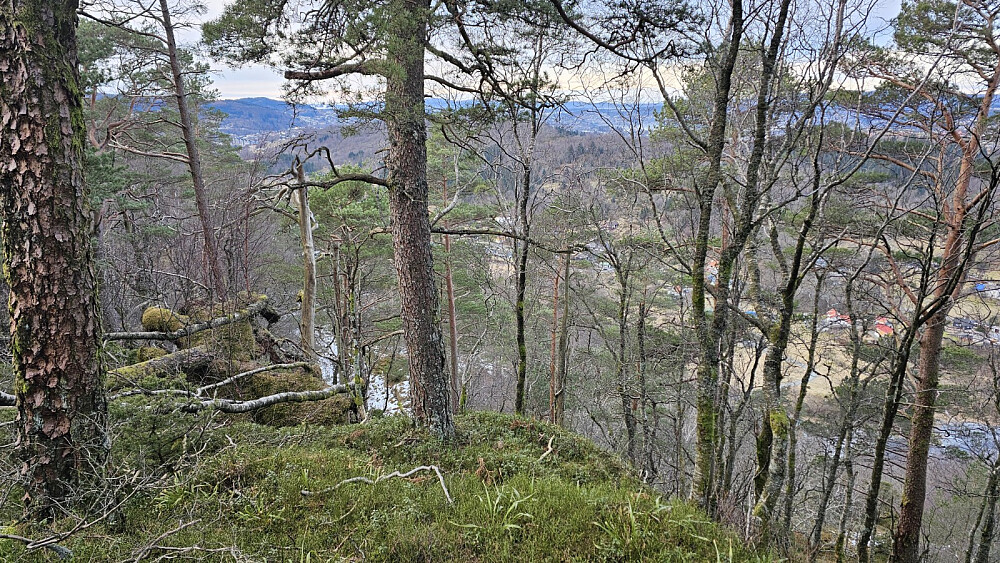 Begrenset med utsikt på grunn av trærne