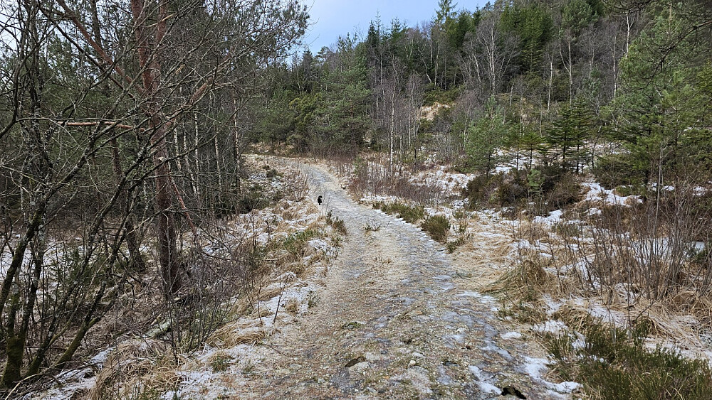 På returen kom vi ned på vei, men tok av den for å få med en bonustopp