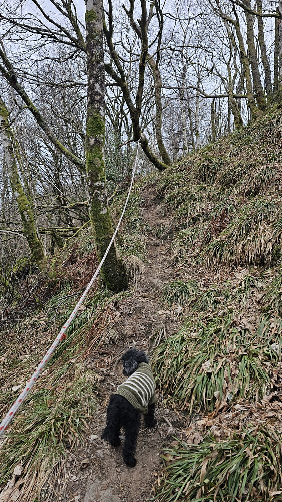 Ganske bratt opp fjellsiden, så det var god trim