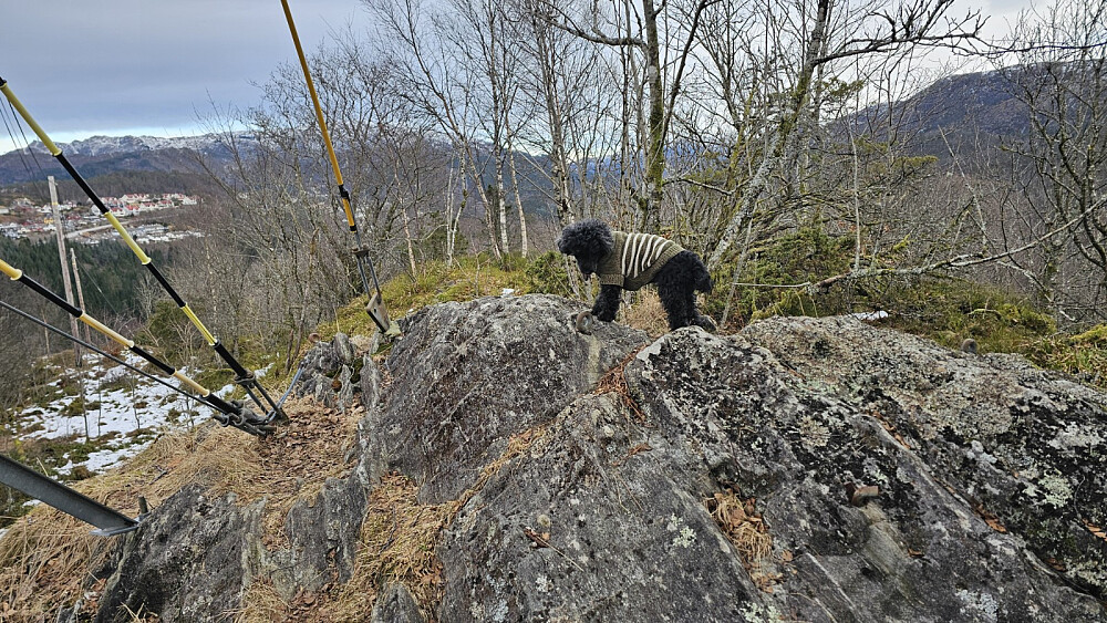 Litt utsikt gjennom kratet her oppe