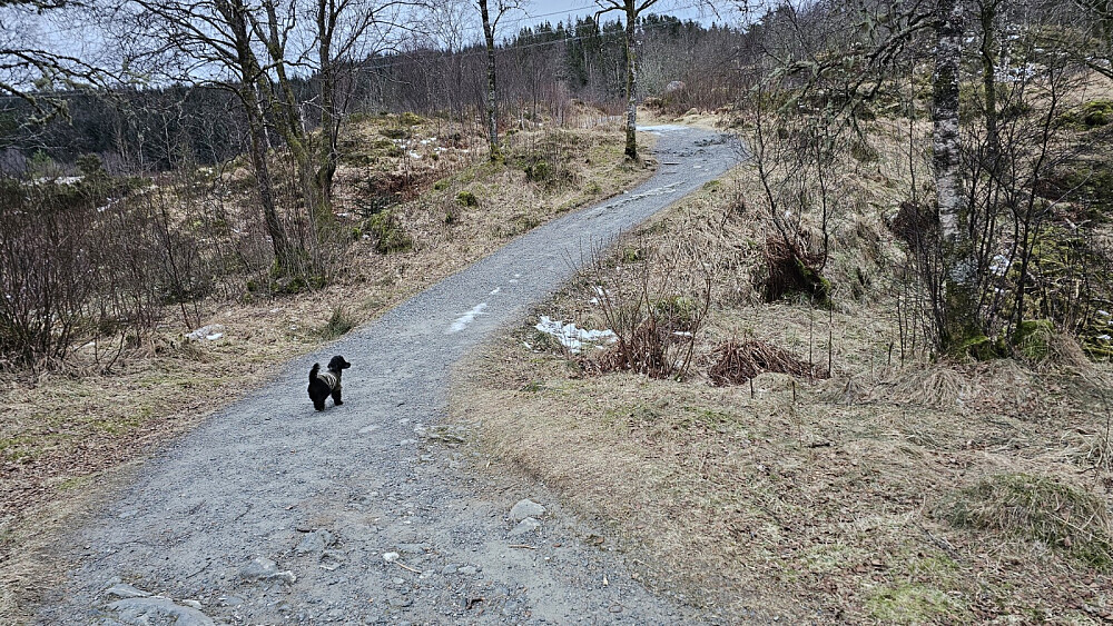 Gammel kjerrevei som var gruset opp