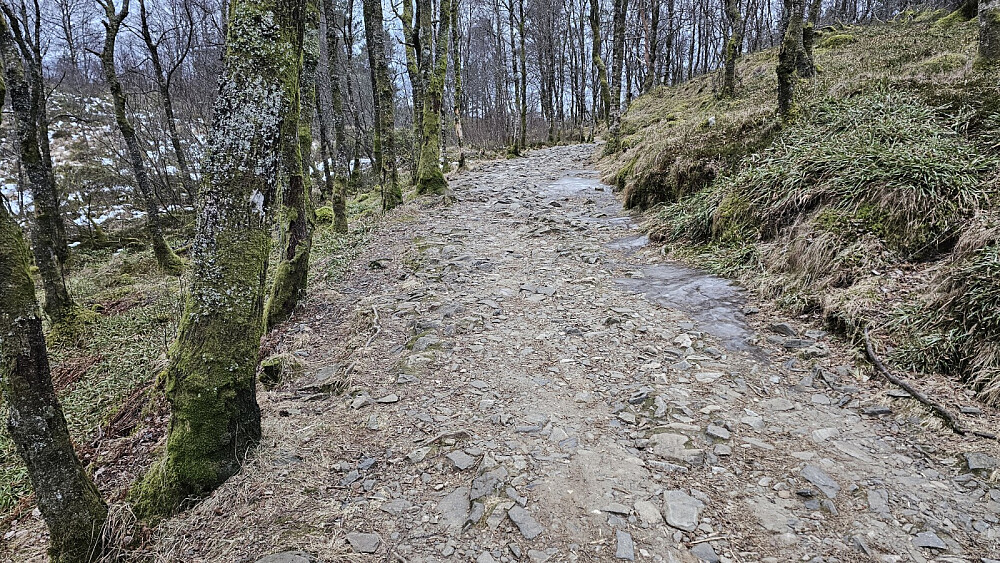 Her var veien av litt dårligere kvalitet