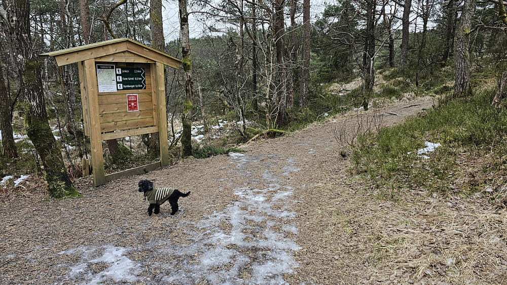 Skilt i første stikryss. Det var skiltet til Linken og jeg forstod etter hvert at det faktisk var Lyseskarfjellet
