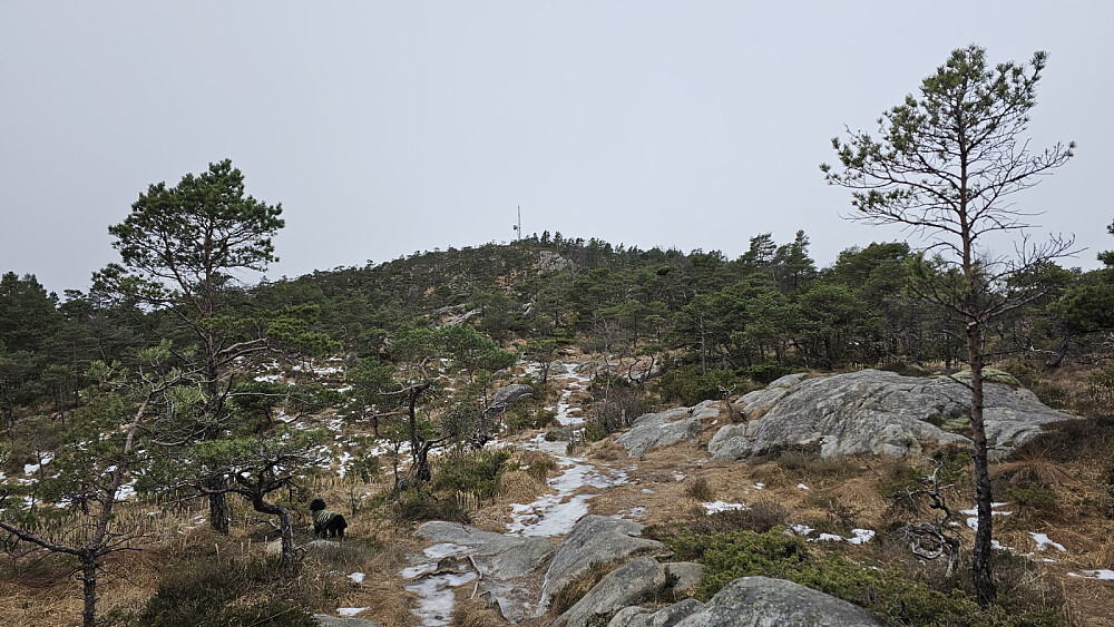 Trivelig terreng å gå i