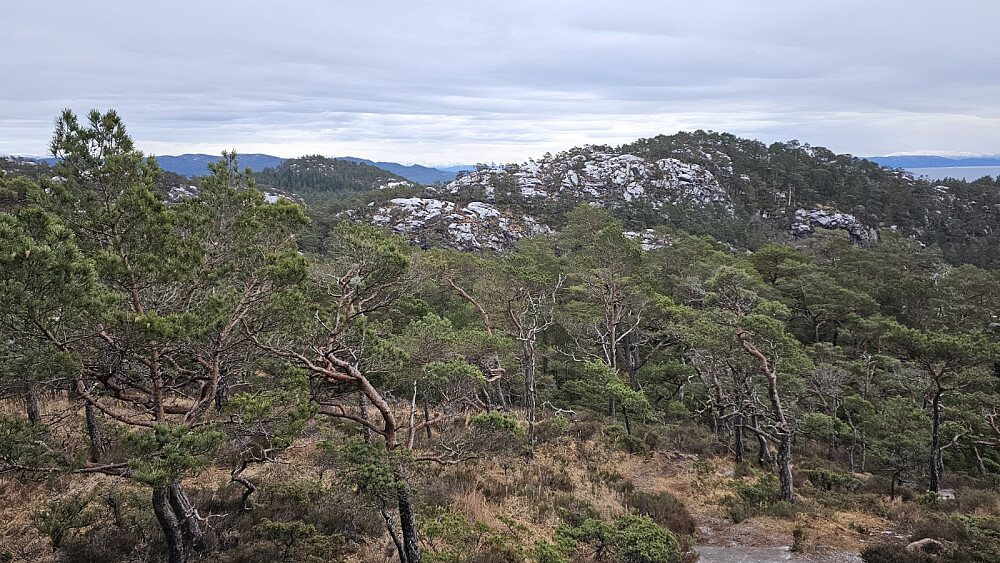 Berget ser lyst ut men det er snøen som har lagt seg i et tynt lag