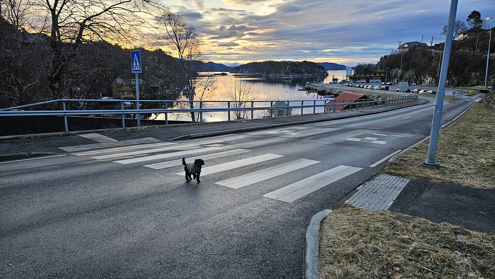 Stille og rolig i det sola kom opp
