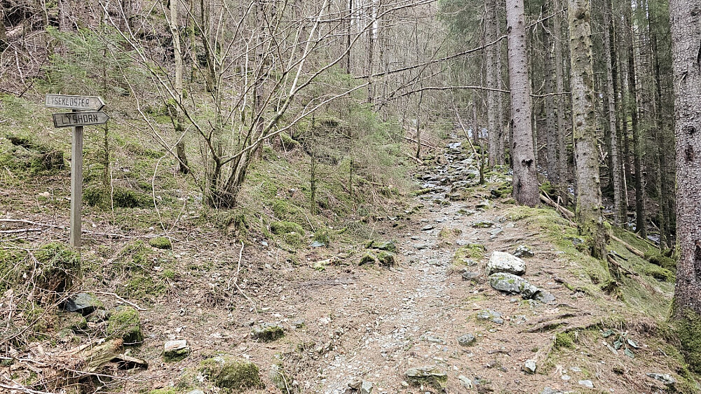 Mye brukt sti opp skogen og skiltet hele veien