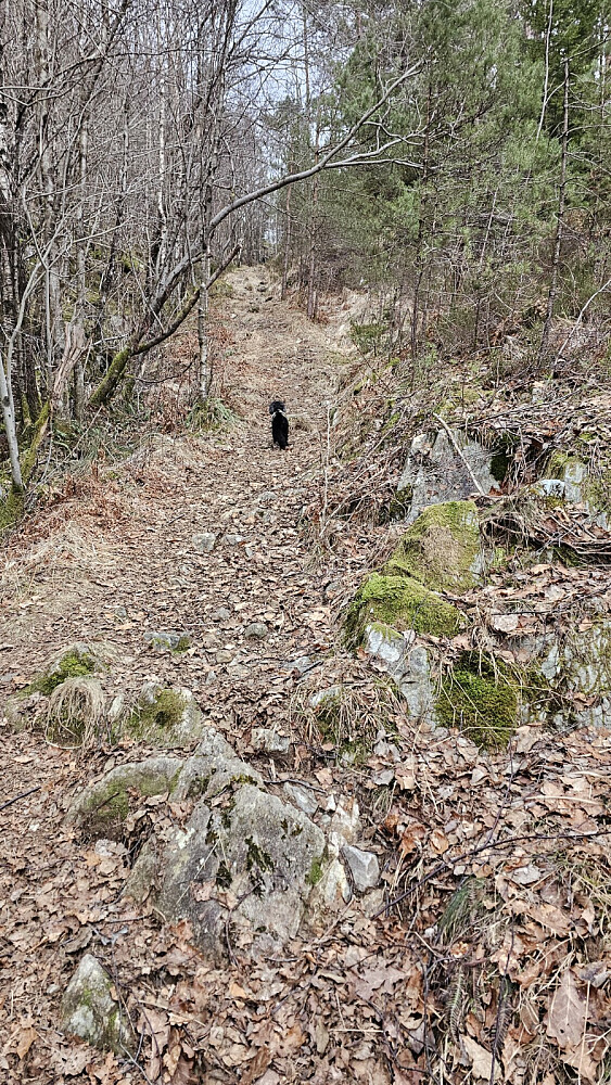 Lett å gå i de isfrie partiene