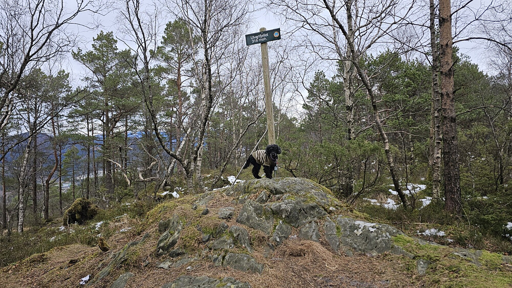Markering på toppen