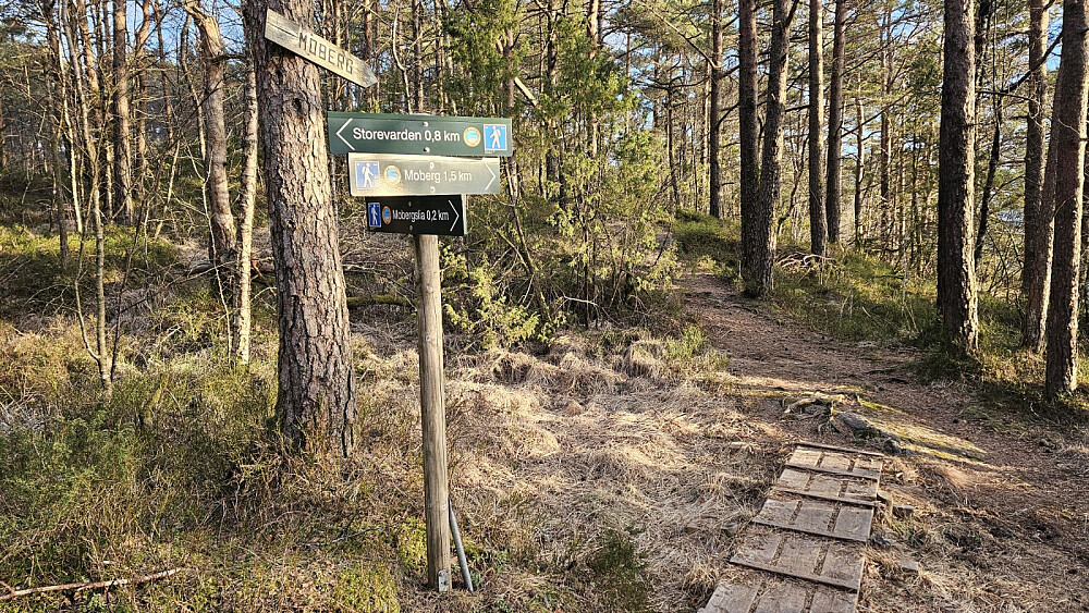 Skiltet i alle stikryss