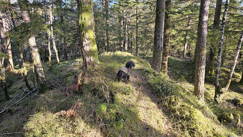 Her er høyeste punkt