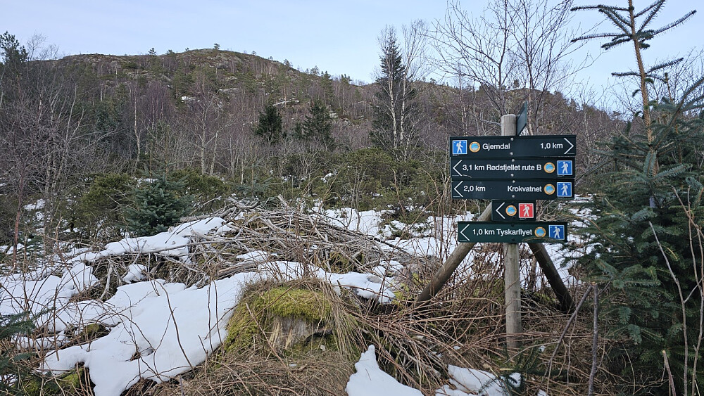 På returen passerte jeg stistart på den turen jeg burde valgt