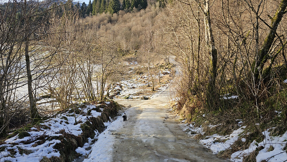 Etter bare 50 meter forstod jeg at broddene måtte på