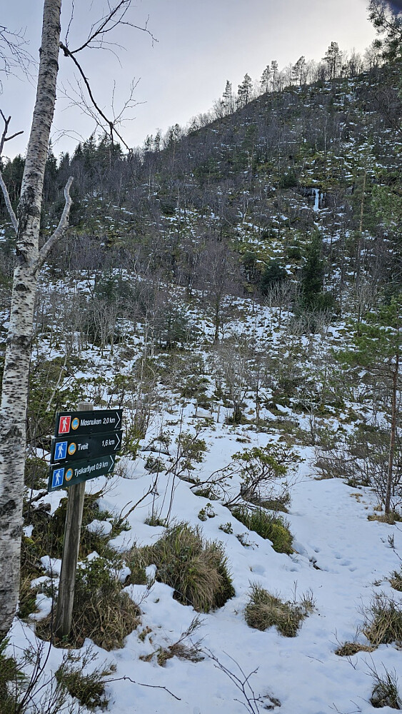 Her gikk stien av og krysset bekken med bru. Det var kun 2 som hadde gått her siden forrige snøfall