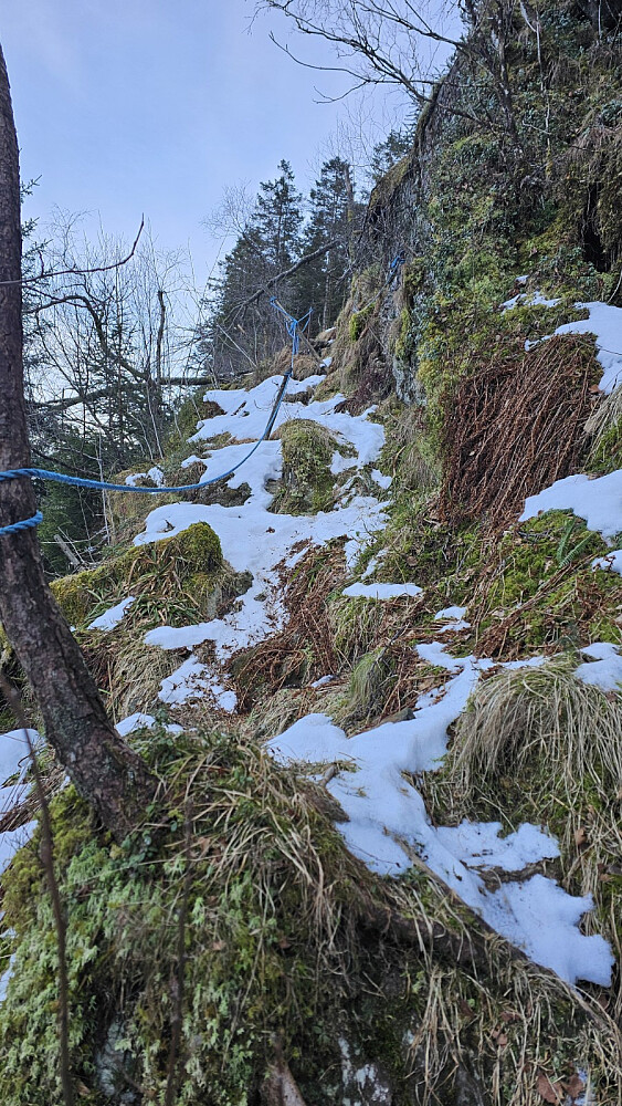 Her var det sikret i et bratt parti