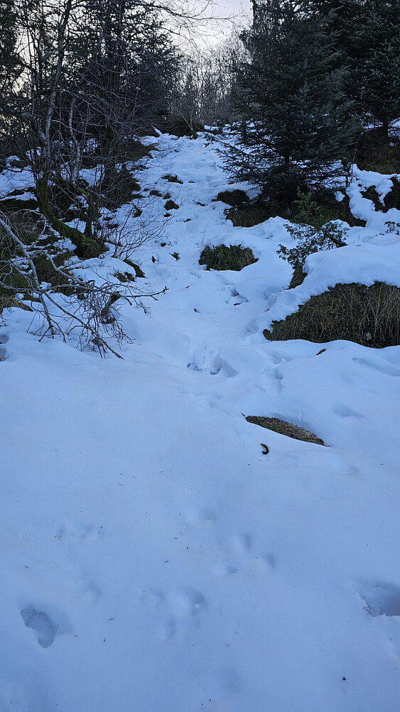 Snøen var hard og jeg tråkket ikke igjennom