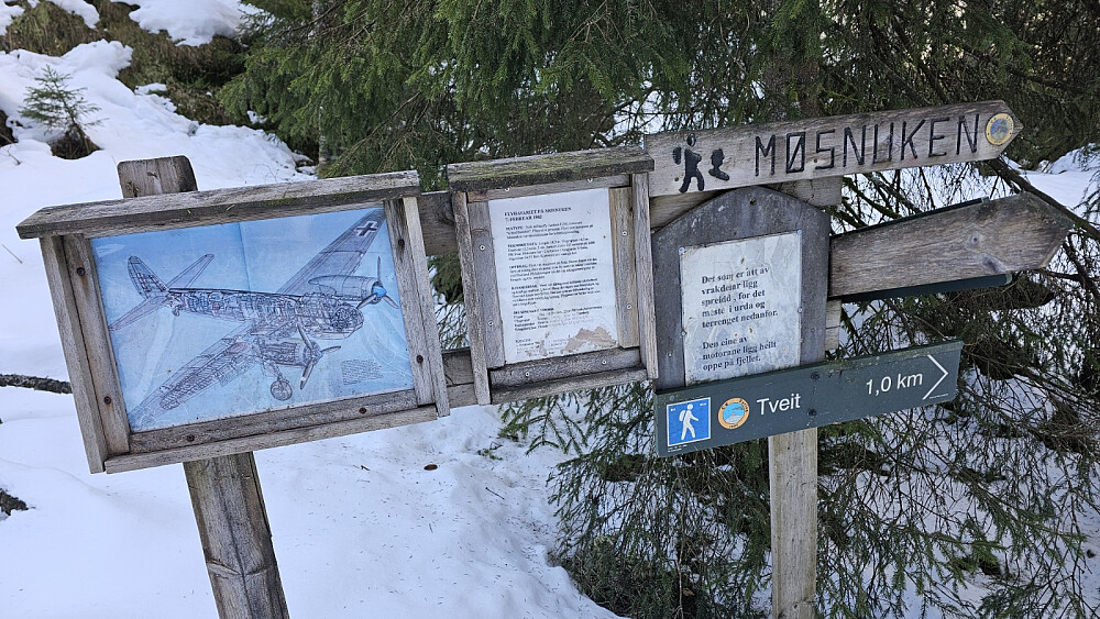 Opp til flyvraket gikk det greit