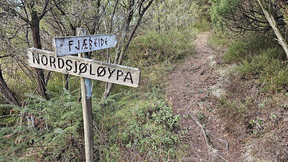 Det stod også et par gamle skilt i skogkanten