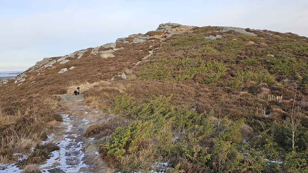 Flott sti opp fjellet