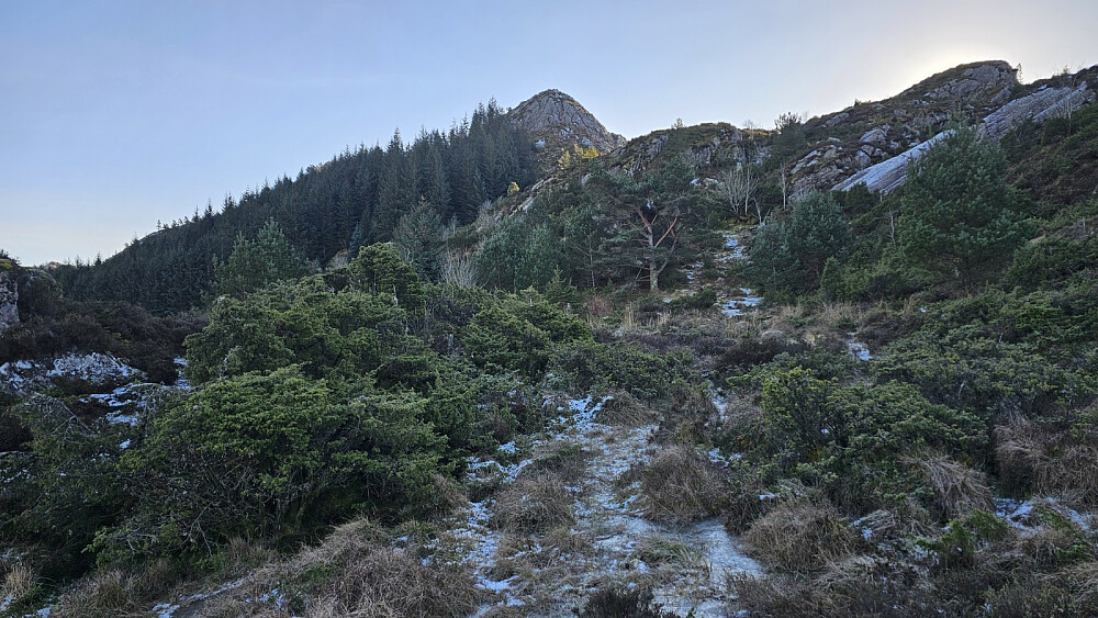 Toppen så bratt ut herfra