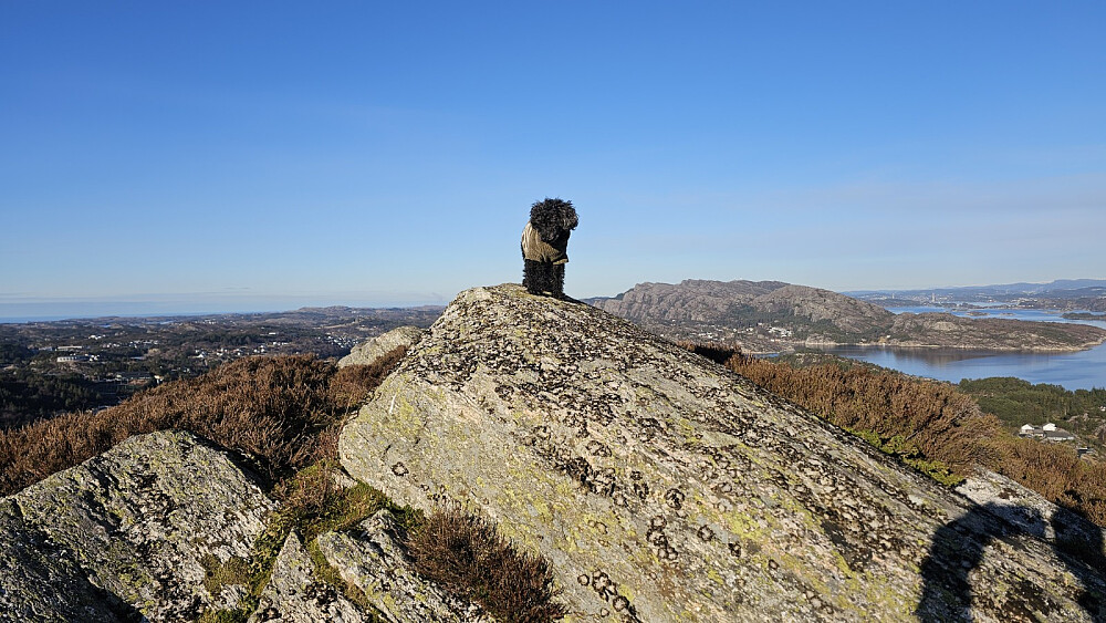 Toppen av Sangoltshornet