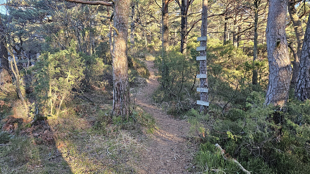 Fin og lettgått stl