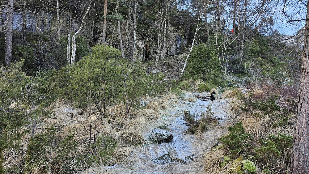Litt oppe i stien nådde vi igjen en kar. Han var 78 år gammel og lokalkjent, så han ble min guid på turen og jeg fikk høre mye interessant om områdt