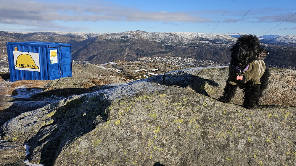 Høyeste punkt på Løvstakken
