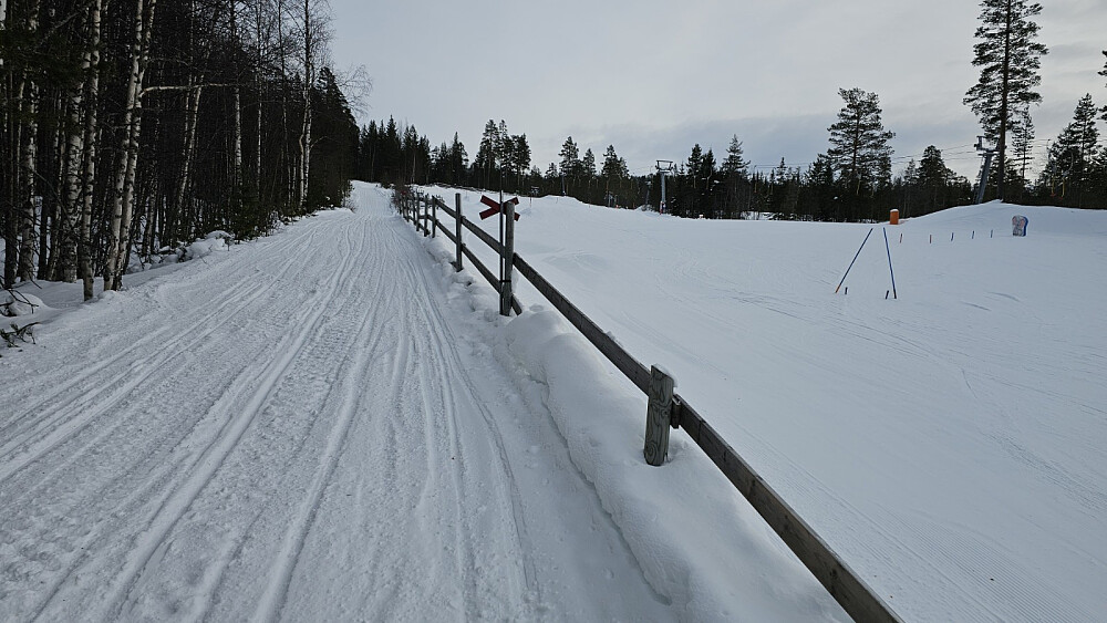 Vi gikk i scooterleden opp skogen