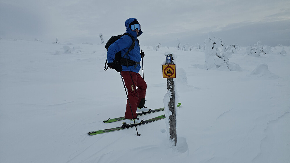 Oppe på fjellet gikk vi vårt eget spor den ganske lange og flate biten inn til høyeste punkt