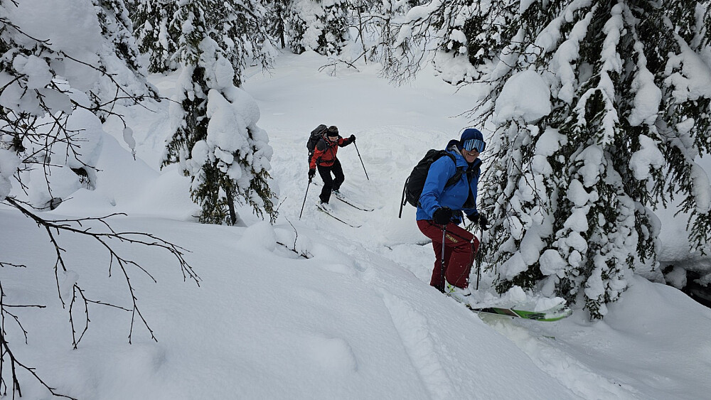 Vu fikk en herlig start i masse løssnø opp skogen