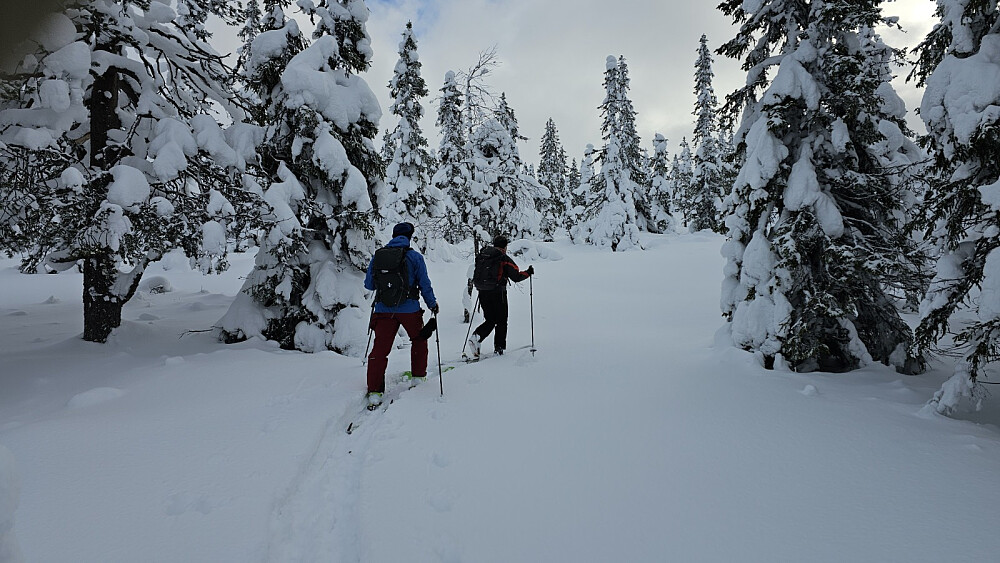 Veldig trivelig å gå sitt eget spor i all løssnøen som kom i natt