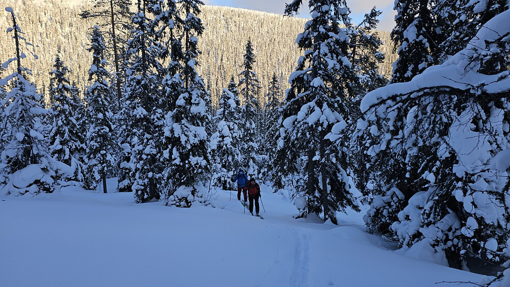 Etter å ha krysset dalen startet vi nok en motbakke i løs snø opp mot Västra Kalven