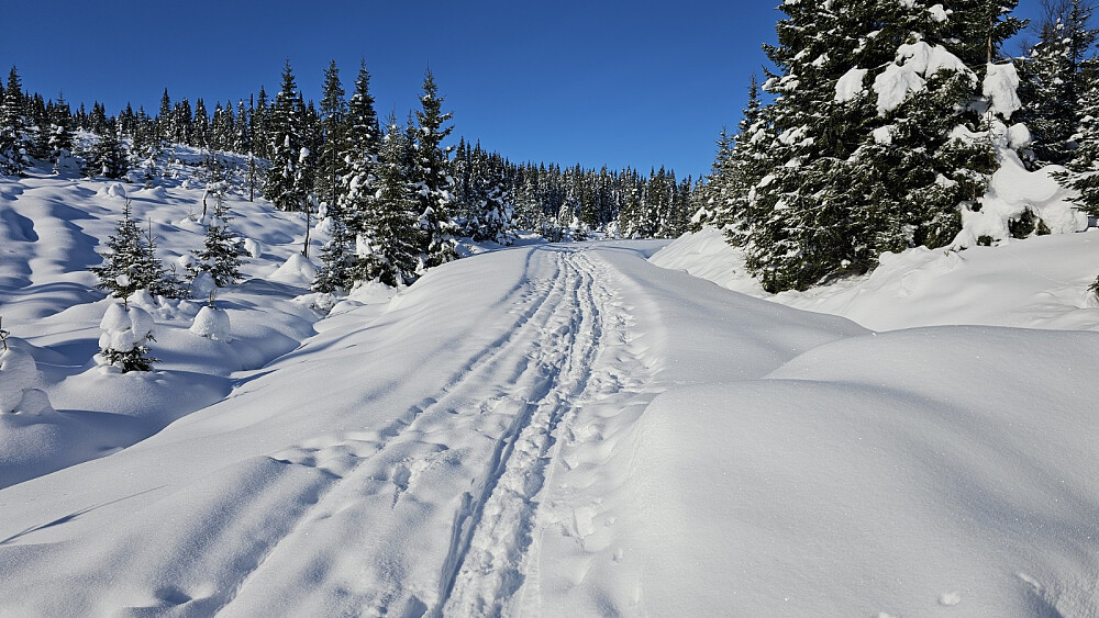 Lett å gå i starten