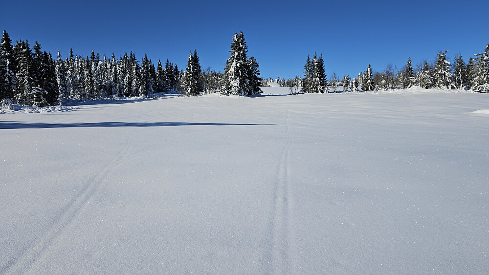 Fra Kinna måtte jeg gå mitt eget spor og da ble det tyngre å gå