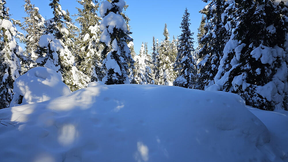 Urørt snø på høyeste punkt på Kinnkjølen