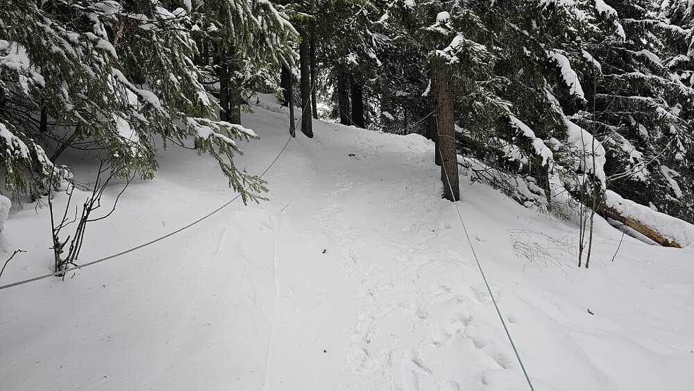 Det var flere som hadde gått opp før oss i dag