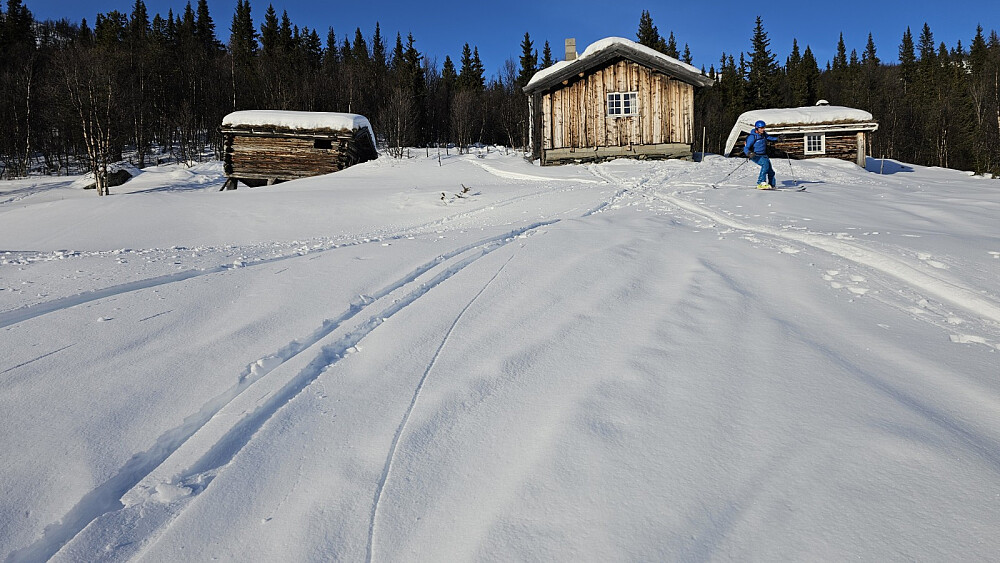 JHA ved Storfjellroa